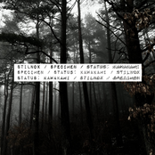 We Came, We Saw, We Failed