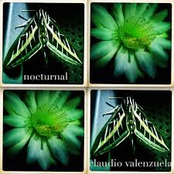 Nocturnal