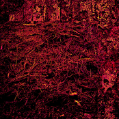 Diseased