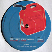 white lion soundsystem