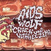 AIDS Wolf / Crack Und Ultra Eczema / Pre / Dmonstrations 4 Way Split