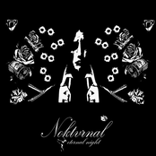 Nokturnal Eternal Night