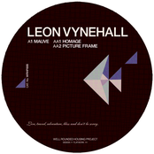 Picture Frame by Leon Vynehall