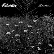 Bitterblossom