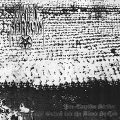 Pre-Emptive Strike: The Honor Gained and the Blood Spilled