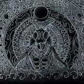 insect phonetics research