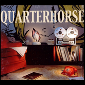 Quarter Horse: It's Nothing