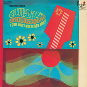 7 Great Guitars With The Now Sound