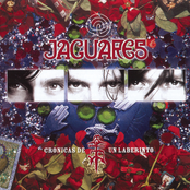 Madera by Jaguares