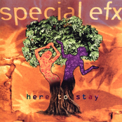 Here To Stay by Special Efx