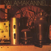 Salamakannel
