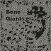 Haiku by 2 Bone Giants