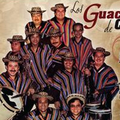 Los Guacharacos