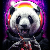 Not Like Us (SPACE_PANDA Style)