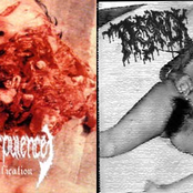 torso_fuck&vomitorial_corpulen