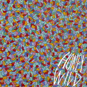 Honey Wild (EP)
