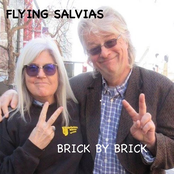 Brick by Brick - Single