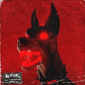 Introduction To Riddim (Remixes)