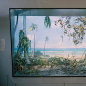 Nostalgia Por Mesozóica