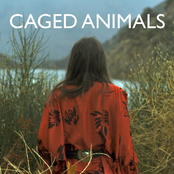 This Summer I'll Make It Up To You by Caged Animals