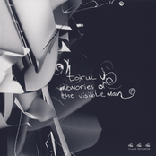 Memories Of The Visible Man