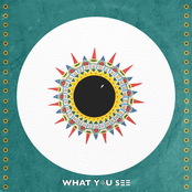 What You See