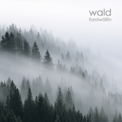 Wald