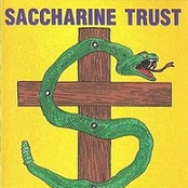 Hearts And Barbarians by Saccharine Trust