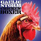 The Bear And The Butcher Boy by Gaelic Storm