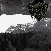 And Wolf Remarked the Ancient Path of Winter Forest