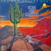 Blue Gypsy Woman by The New Cactus Band