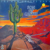 Senseless Rebel by The New Cactus Band