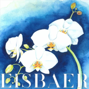 Late Bloomer: Episode I