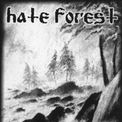 The Most Ancient Ones