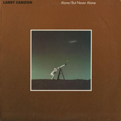 Carrying You by Larry Carlton