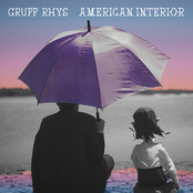 American Interior by Gruff Rhys