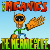 Welcome Back To Me by The Meanies