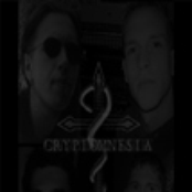 cryptomnesia