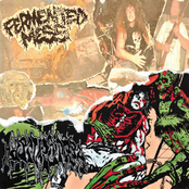 Fermented Mess / Harvester