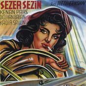 Şoför Nebahat