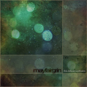 This Delicate Confusion [wh151]