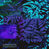 There's Penguins in Argentina!