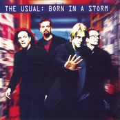 Born In A Storm by The Usual