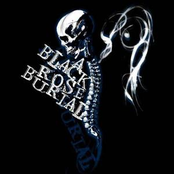 A Black Rose Burial