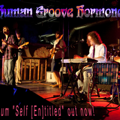 human groove hormone