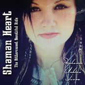 Stephanie Urbina Jones: Shaman Heart (The Bittersweet Beautiful Ride)