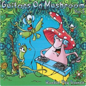 Guitars on Mushroom vol.2