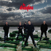 I've Been Wild by The Stranglers
