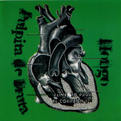 Alimento para el corazon