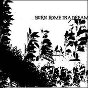 Coleman by Burn Rome In A Dream